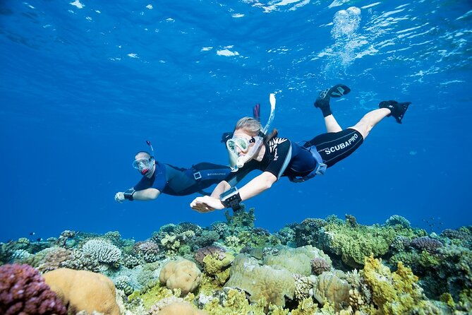 boat-trip-with-snorkel