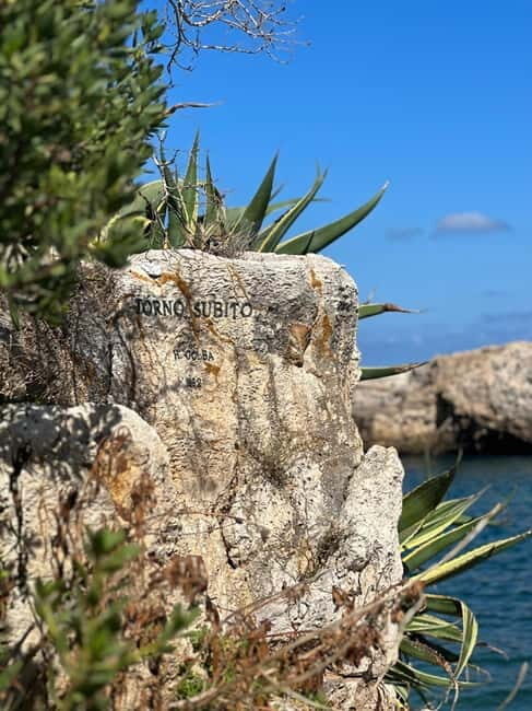 Boat trip with tasting of typical Apulian products - What’s Included and What You’ll Experience