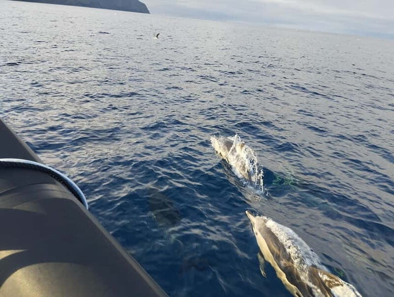 Boat trips to Corvo Island - Introduction: Why a Boat Trip to Corvo is Worth Considering