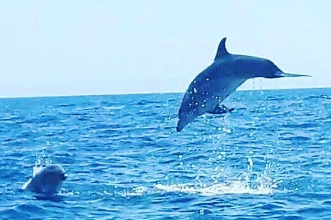 boat-trips-with-zorro