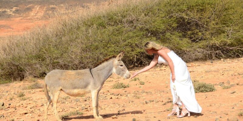 Boavista: Social Media Safari; Insta Iconic Spots Tour - Authentic Experiences and Travel Tips