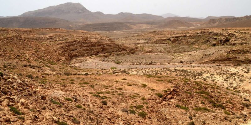 Boavista: Traditional & Local Experience Tour - The Sum Up