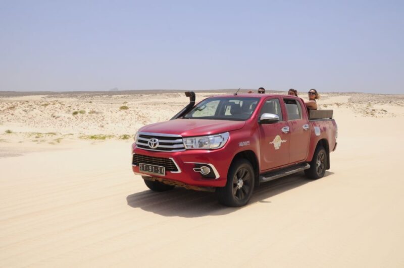 Boavista: Turtle, Shark, Santa Monica, Sandboard & Tasting - Who Will Love This Tour?