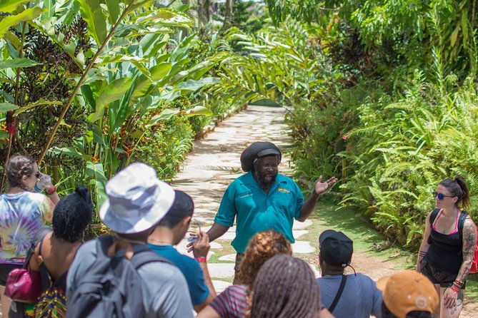 bob-marley-9-mile-tour-admission