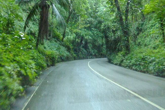 bob-marley-birthplace-nine-miles-tour-from-ocho-rios