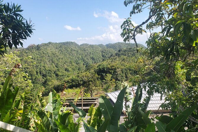 bob-marley-nine-mile-home-private-tour