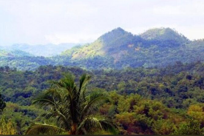 bob-marley-nine-mile-home-private-tour