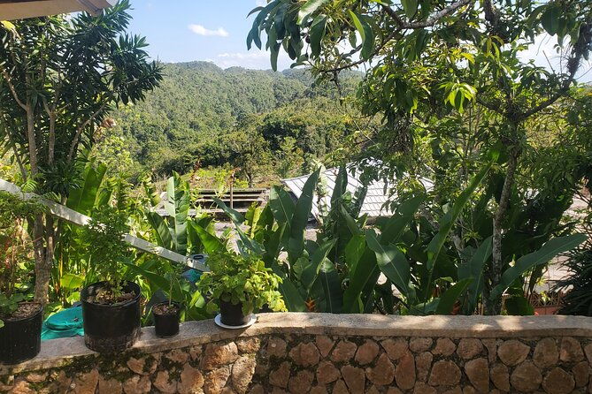 bob-marley-nine-mile-home-private-tour