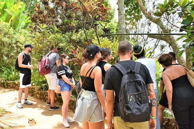 bob-marleys-nine-mile-day-trip-w-admission-guided-tour-from-grand-palladium