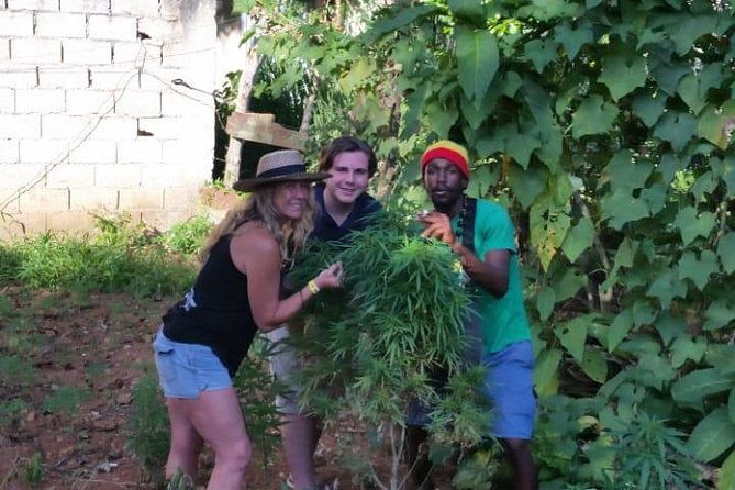 bob-marleys-nine-mile-dunns-river-falls-tour-transportation-ticket