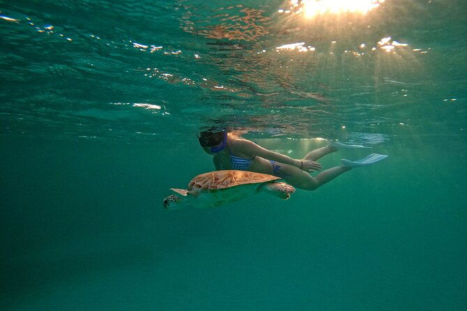 boca-catalina-sunset-turtle-snorkel-adventure-aruba