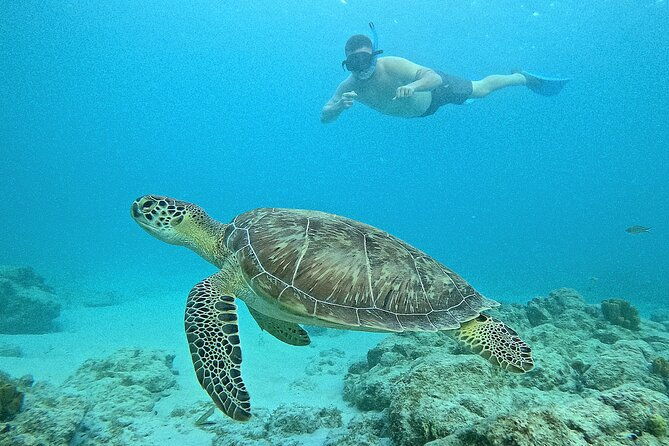 boca-catalina-sunset-turtle-snorkel-adventure-aruba