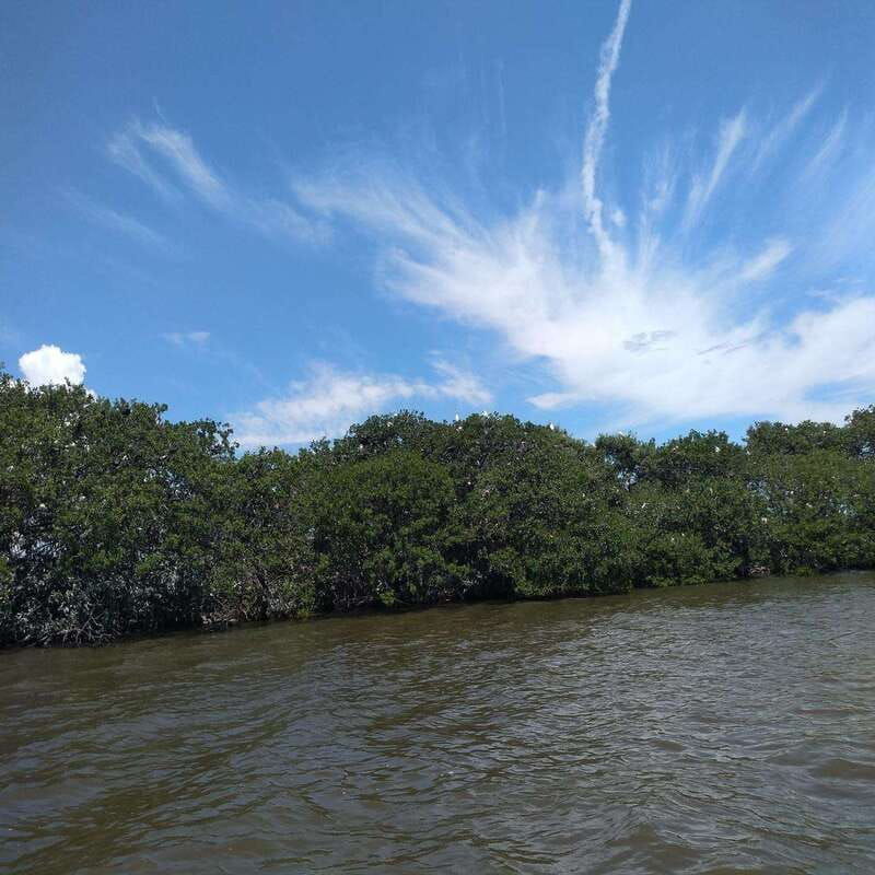 boca-del-rio-history-culture-and-gastronomy