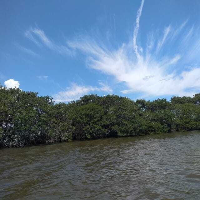 boca-del-rio-history-culture-and-gastronomy