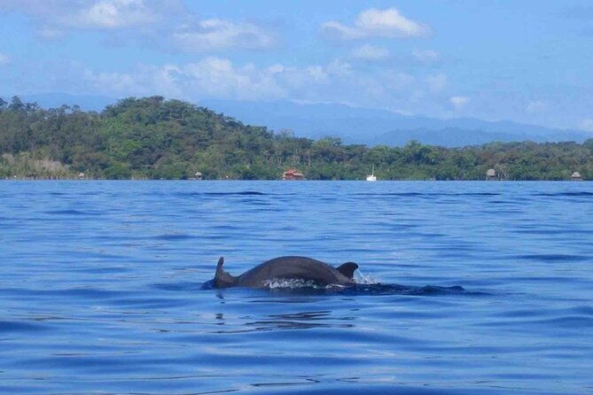 bocas-del-toro-island-hopping-day-tour-in-zapatilla-beach