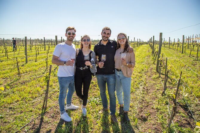 bodega-gamboa-premium-wine-tasting-with-lunch