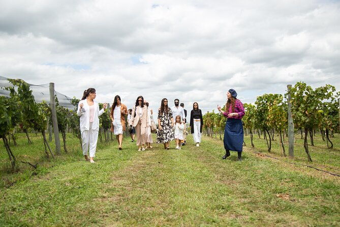 bodega-gamboa-premium-wine-tasting-with-lunch