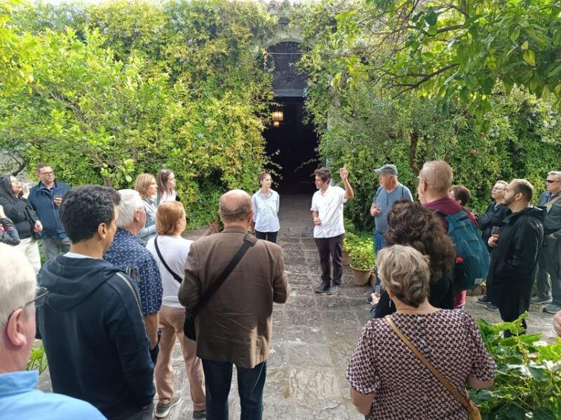 bodega-halcon-winery-tour-with-wine-tasting-south-of-seville