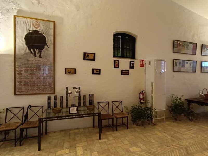 bodega-halcon-winery-tour-with-wine-tasting-south-of-seville