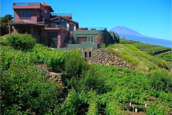 bodegas-monje-winery-ticket-w-wine-tasting-mojo-sauce-workshop