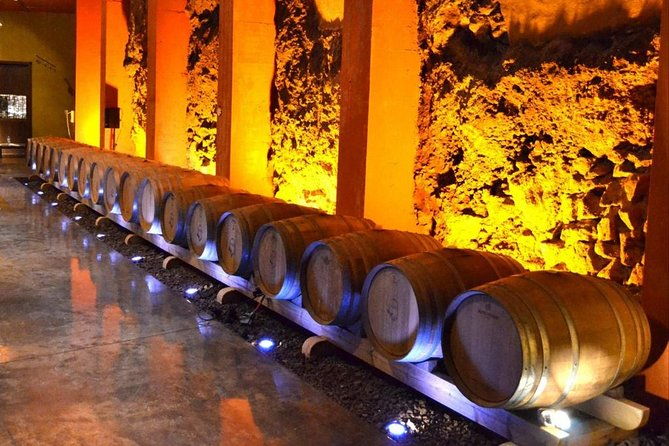 bodegas-monje-winery-ticket-w-wine-tasting-mojo-sauce-workshop