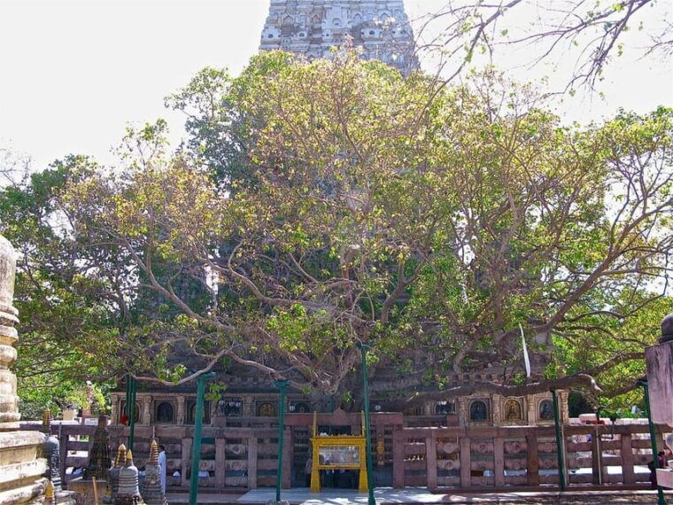 bodhgaya-full-day-tour