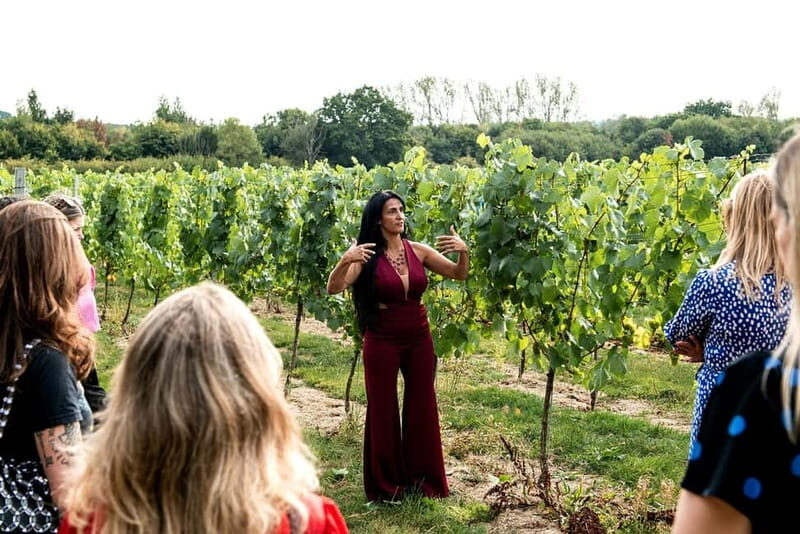 Bodiam: Vineyard Tour and Wine Tasting Experience - What to Expect from the Bodiam Vineyard Tour