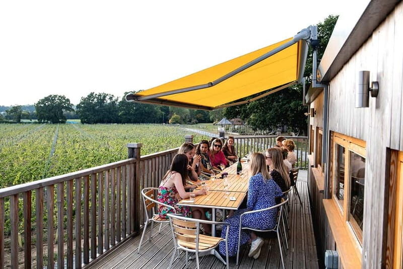 Bodiam: Vineyard Tour and Wine Tasting Experience - The Sum Up