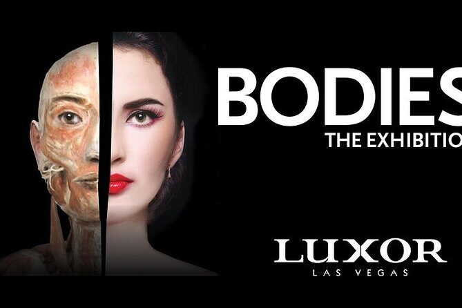 Bodies The Exhibition at the Luxor Hotel and Casino - Key Points