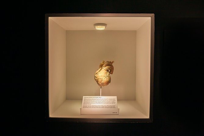 Bodies The Exhibition at the Luxor Hotel and Casino - FAQ