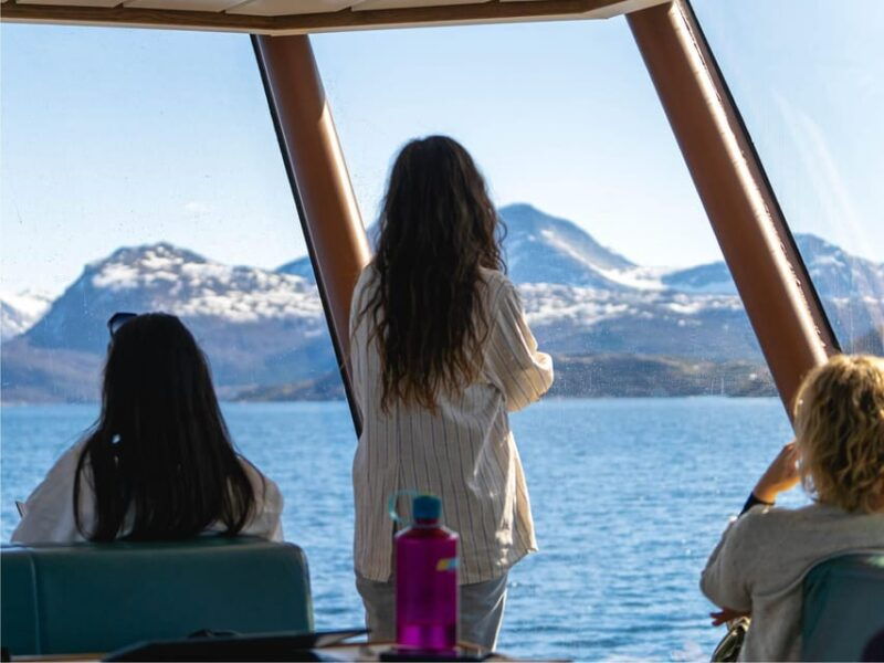 bodo-beiar-fjord-saltstraument-cruise