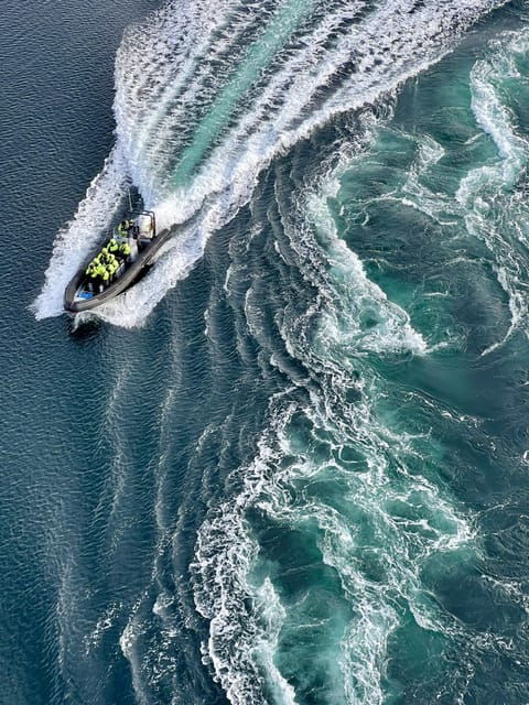bodo-saltstraumen-rib-safari