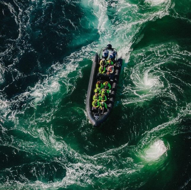 bodo-saltstraumen-sea-eagle-trip-by-rib