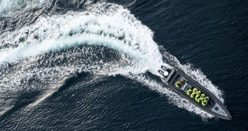 bodo-saltstraumen-sea-eagle-trip-by-rib