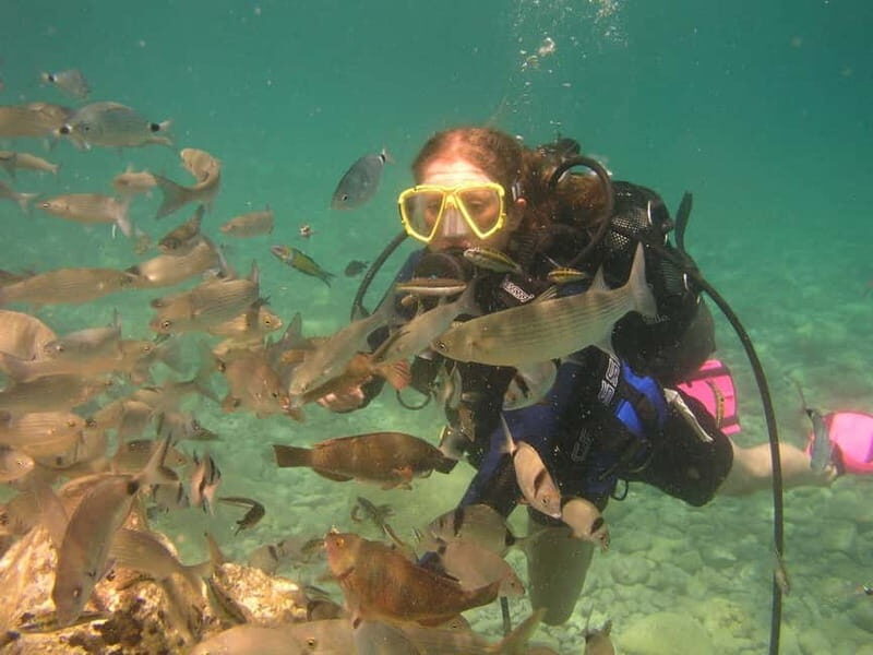 Bodrum diving day for advanced and beginner divers - An In-Depth Look at the Bodrum Diving Experience