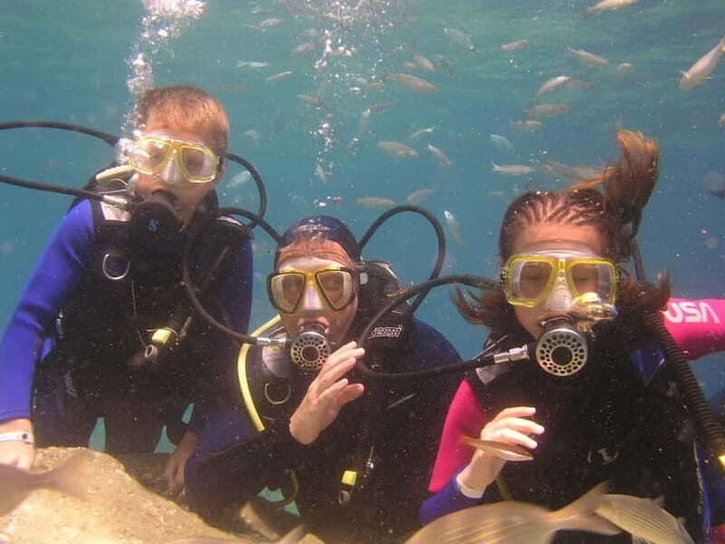 Bodrum diving day for advanced and beginner divers - FAQs