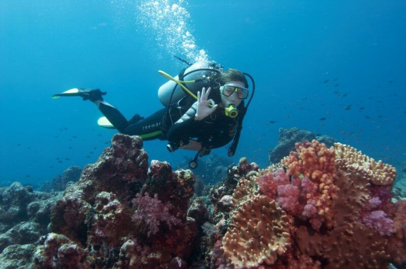 bodrum-full-day-scuba-diving-tour