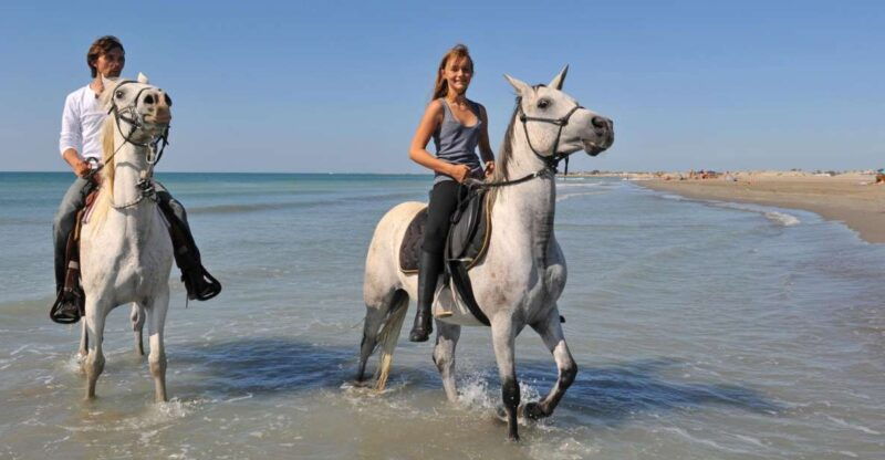 bodrum-horseback-riding-experience