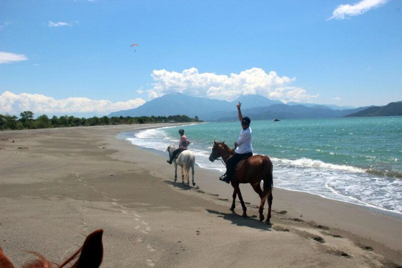 bodrum-horseback-riding-experience
