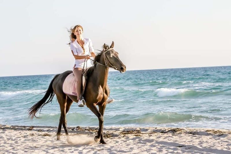 Bodrum: Horseback Riding Experience with Hotel Transfer - Key Points