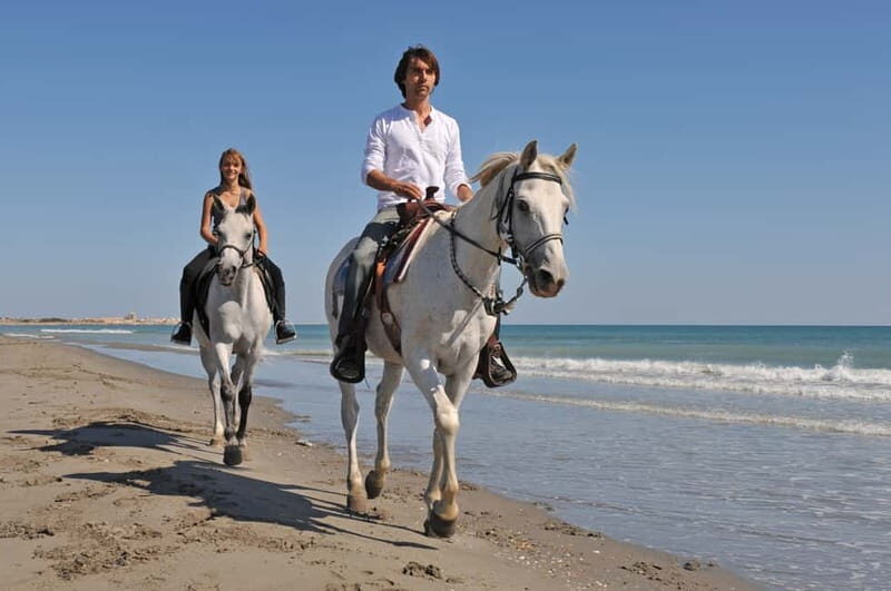 Bodrum: Horseback Riding Experience with Hotel Transfer - The Itinerary Breakdown: What to Expect