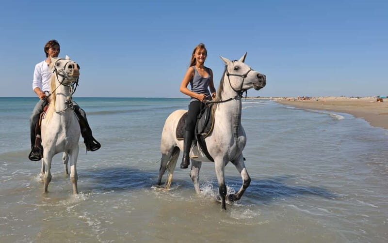Bodrum: Horseback Riding Experience with Hotel Transfer - Practical Details: What to Know Before Booking