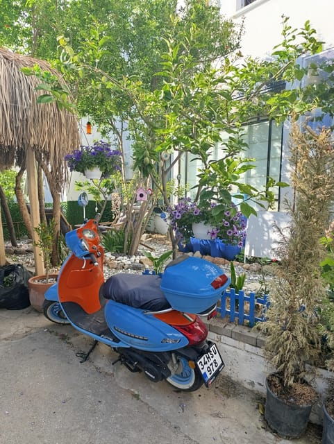 bodrum-like-a-local-by-walk