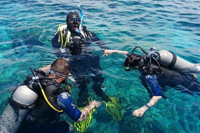 bodrum-scuba-diving-tour-with-free-hotel-transfer-by-locals-2