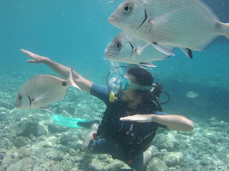 bodrum-scuba-diving-trip-with-lunch