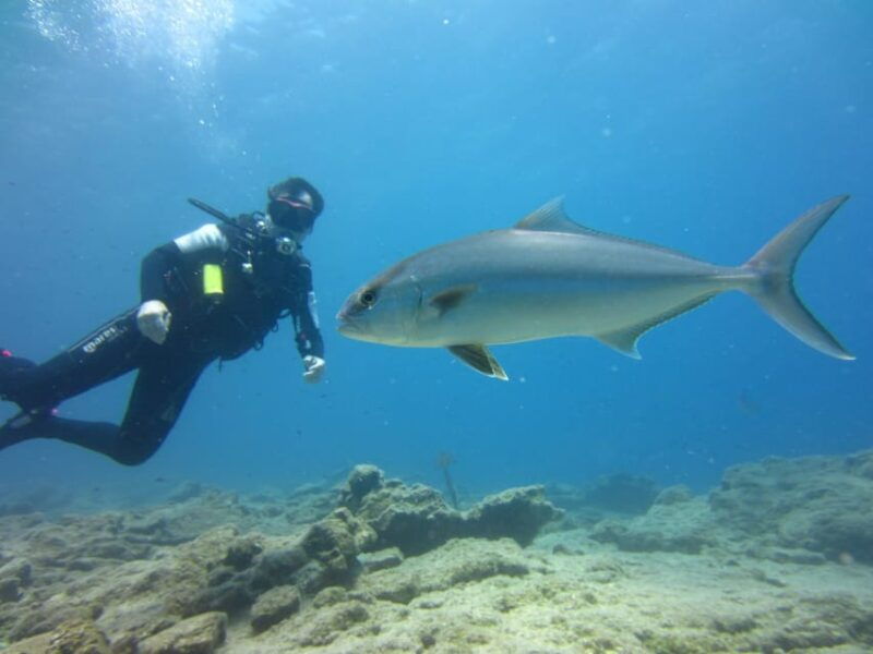 bodrum-scuba-diving-trip-with-lunch