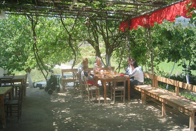 Bodrum Village Tour with Group - Transportation and Practicalities