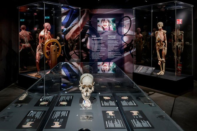 body-worlds-amsterdam-fast-lane-ticket