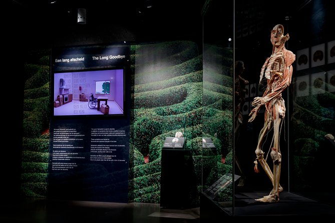 body-worlds-amsterdam-fast-lane-ticket