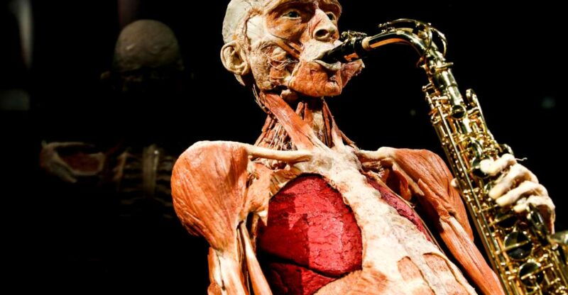body-worlds-amsterdam-the-happiness-project-ticket